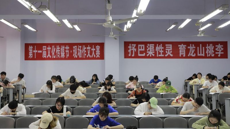 VI设计手册尺寸解析：标准与实际应用