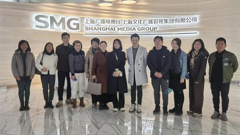 平台型公司主要提供影视制作技术支持，如后期制作、特效制作等。其特点包括：